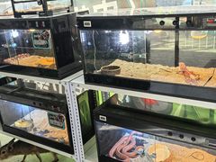 -昆明动物园