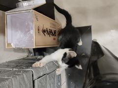 -绍兴名菜馆(可乐路店)