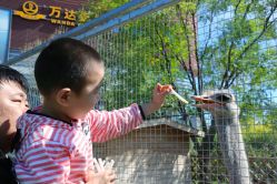 -萌宠亲子动物乐园(槐房万达店)