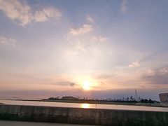 -碧海金沙