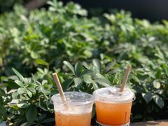 桃桃乌龙-星巴克(珠海摩尔百货店)