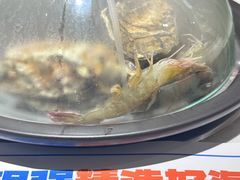 -大锅强·蒸海鲜青岛菜(吾悦广场店)