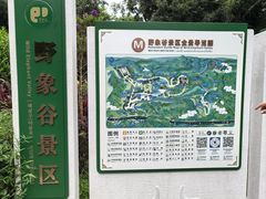 -野象谷景区