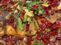 -老板恋上鱼(恒隆广场店)