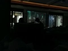 -印象·浅水湾(百乐门大厦店)