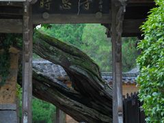 -云中大漈
