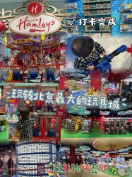 -哈姆雷斯(王府井百货大楼店)
