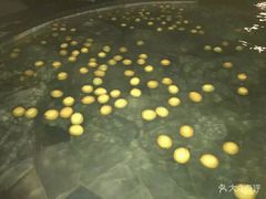 -天目湖涵田半山温泉