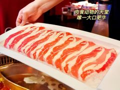 精品肥牛-红运火锅·中国名火锅·国风演绎(省体店)