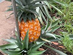 -南通洲际绿博园