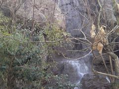 android_upload_pic-天目湖山水园