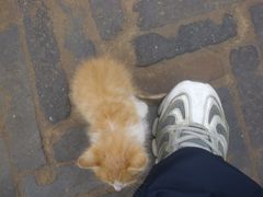 DSCI3240-榆次老城