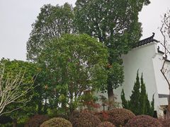 -武汉紫薇都市田园