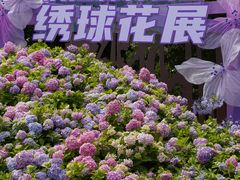 -上海滨江森林公园