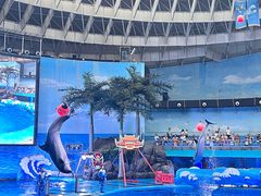 -海合安成都极地海洋公园
