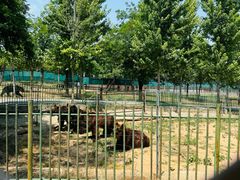 -秦皇岛野生动物园