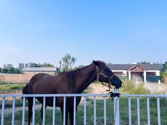 -祥源·阜阳生态乐园