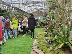 开心巴比肯农场花园烧烤-三圣里·中餐宴请·自助烤肉·烤全羊·柴火鸡(旗舰店)