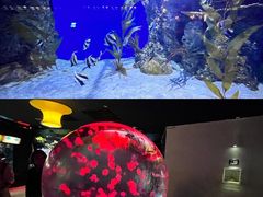-北京海洋馆