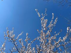 -燕莎友谊商城(亮马桥店)