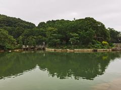 -广州市帽峰山景区