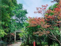 -雨花胜境