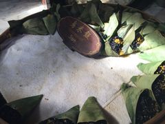 -锦记糕点铺