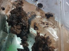 -七叔是岛民(大学城gogo新天地店)