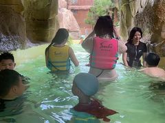 -杭州开元森泊度假乐园