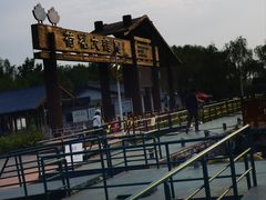 -荷花大观园