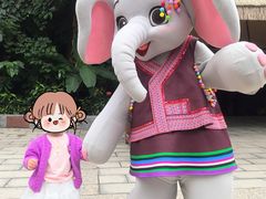 -野象谷景区