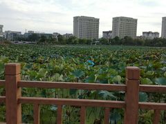 -海天湖公园