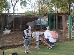 -上海海湾国家森林公园