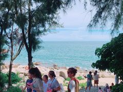 -广东惠东海龟国家级自然保护区
