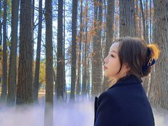-东湖落雁景区