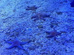 -太平洋海底世界