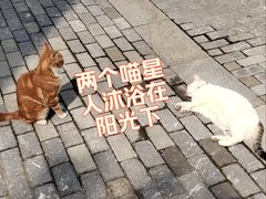 -老外街