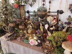 -春风·有糖(崇宁路店)