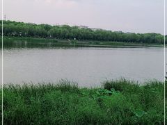 -素心小筑(后沙裕镇店)