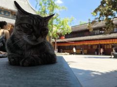 -龙华素斋(龙华路店)