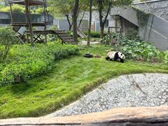 -柳州市动物园