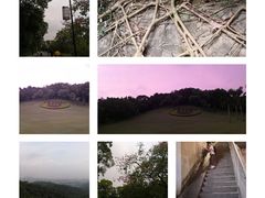 -珠江夜游省总码头