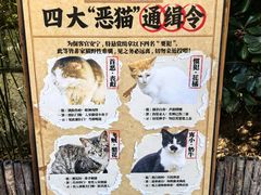 -瑜上·山食小馆