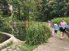 -成都市活水公园