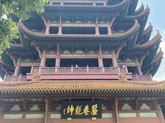 -黄鹤楼公园(黄鹤楼)