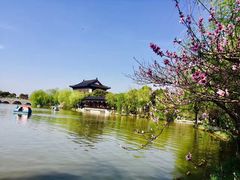 -南汇桃花村