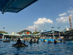-杭州浪浪浪水公园