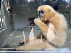 -成都欢乐谷