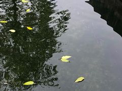 -特种渔场