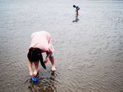 -南汇嘴观海公园